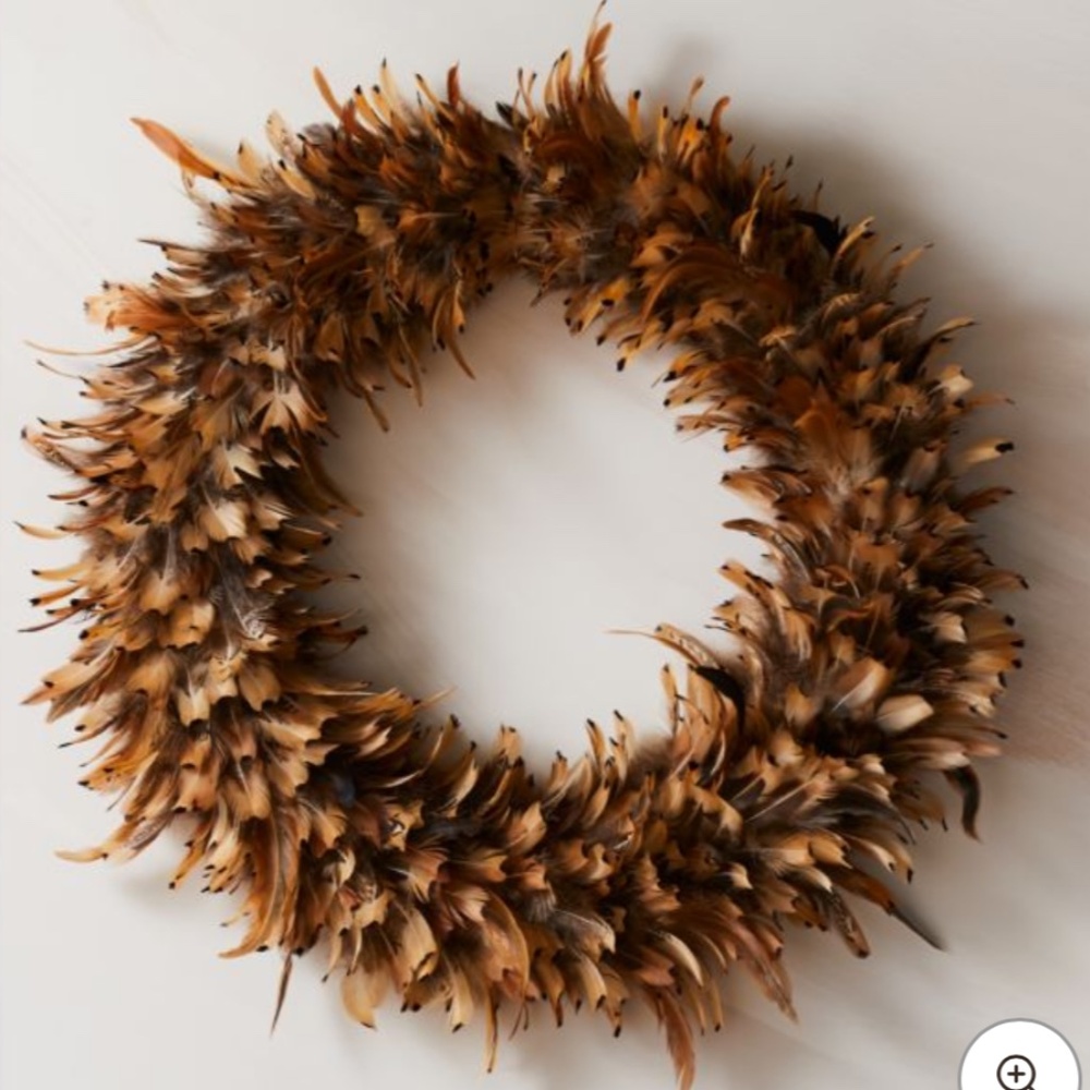 Looking for CB2 feather spotted wreath 24”